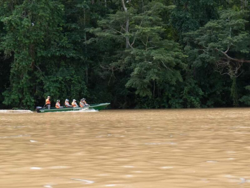 Sandakan: 2-Day Kinabatangan River Wildlife Tour & Cave - Who Will Love This Tour?