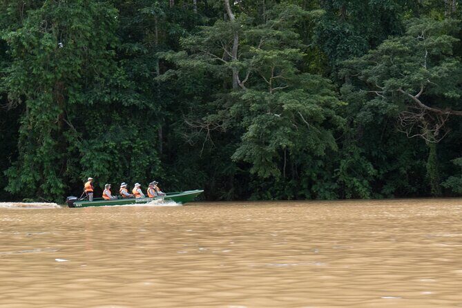 Sandakan: 2D1N Sukau Rainforest Wildlife Journey and Cruises - Key Points