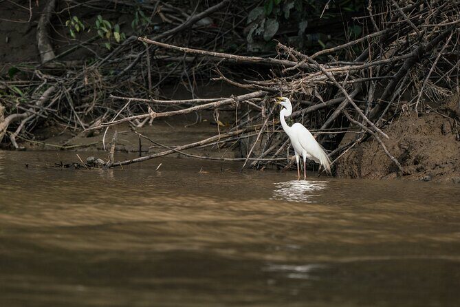 Sandakan: 2D1N Sukau Rainforest Wildlife Journey and Cruises - Who Is This Tour Best For?