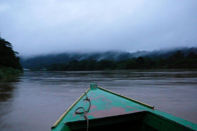 Sandakan: 2D1N Sukau Rainforest Wildlife Journey and Cruises - The Sum Up