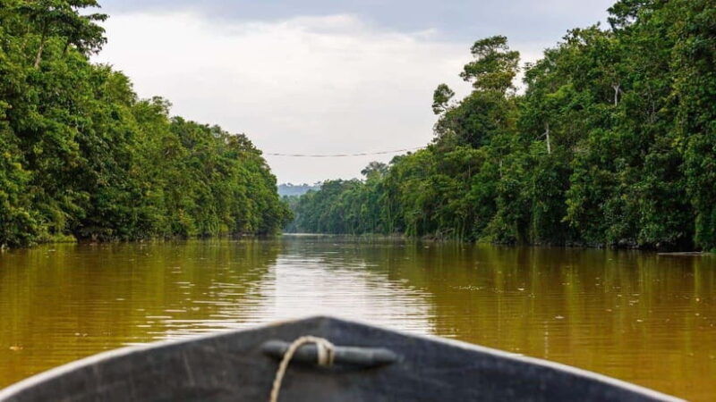 sandakan-3-day-kinabatangan-river-wildlife-adventure
