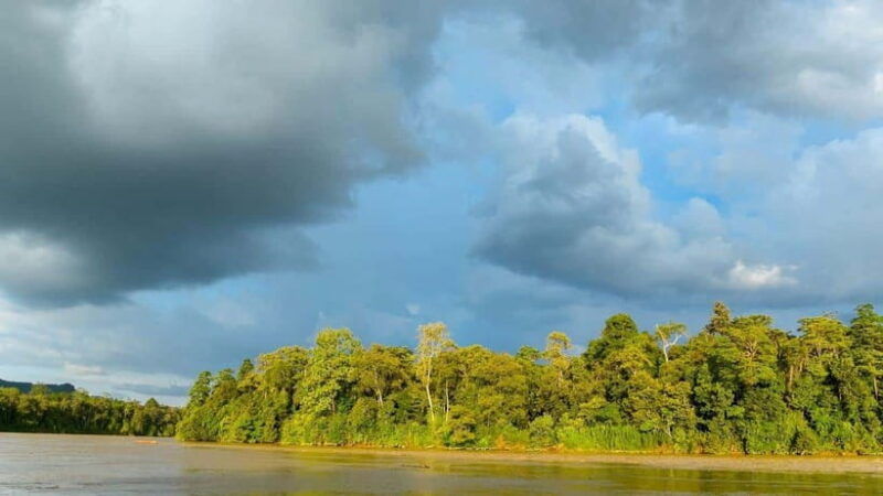 sandakan-3-day-kinabatangan-river-wildlife-adventure