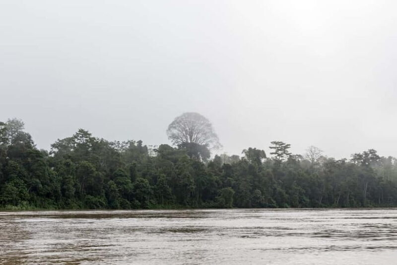 Sandakan: 3D2N The Wild Heart of Borneo River Secrets - Who Is This Tour Best For?
