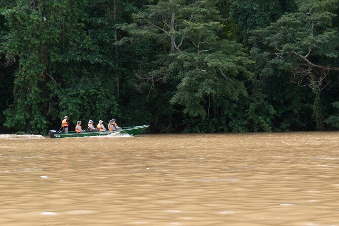 Sandakan: Gomantong Cave Echoes and Kinabatangan Cruise - Practical Details and Tips