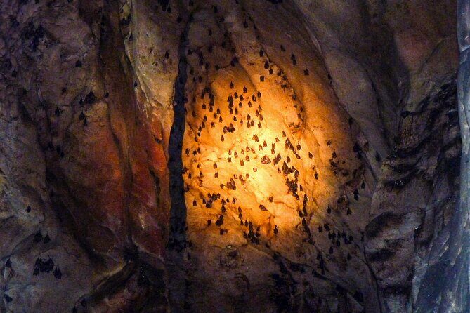 Sandakan: Gomantong Cave Echoes and Kinabatangan Cruise - FAQ