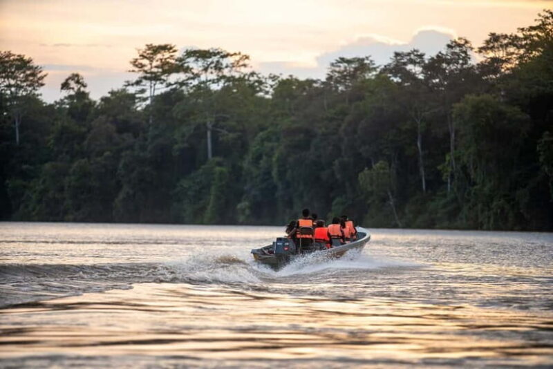 Sandakan: Kinabatangan River Wildlife Cruise with Lunch - What Makes This Tour Stand Out