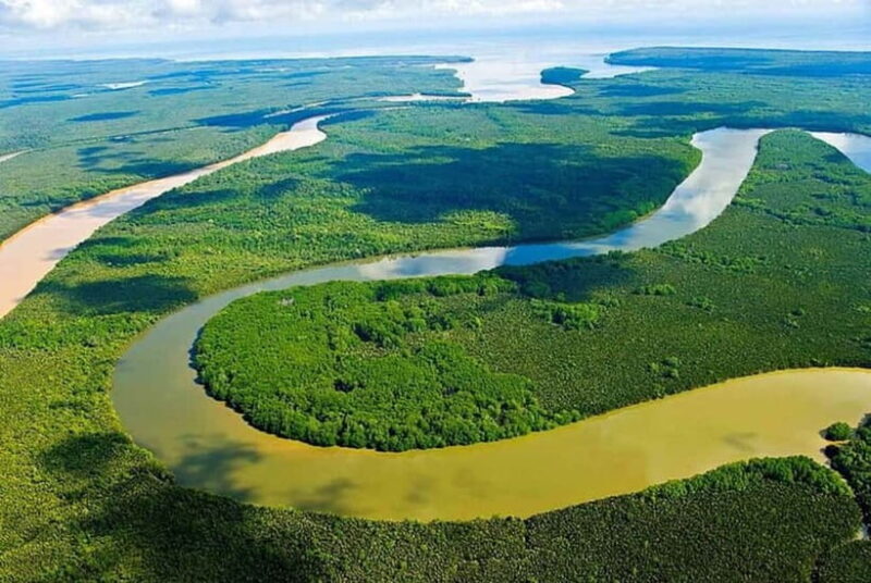 Sandakan: Kinabatangan River Wildlife Cruise with Lunch - Practical Tips for Travelers