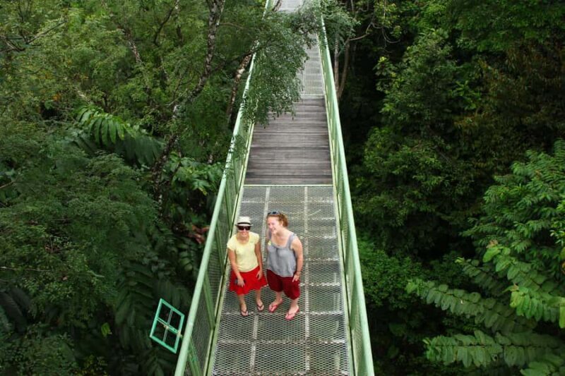 Sandakan: Private City Tour, Rainforest, Jungle Walk, Birds - Key Points