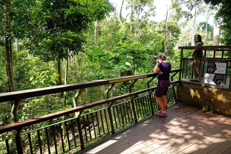 Sandakan: Private City Tour, Rainforest, Jungle Walk, Birds - An In-Depth Look at the Experience