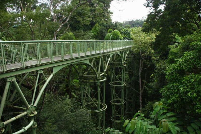 Sandakan: Private City Tour, Rainforest, Jungle Walk, Birds - Who Will Love This Tour?