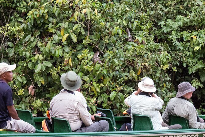 Sandakan Wild Cruise Ticket in Sunrise Sunset or Night Tour - Key Points