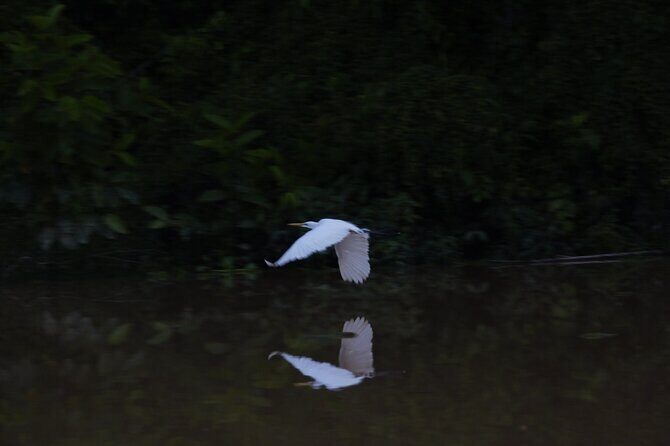 Sandakan Wild Cruise Ticket in Sunrise Sunset or Night Tour - Frequently Asked Questions