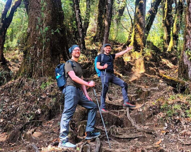 sandakphu-singalila-ridge-trek-6-days