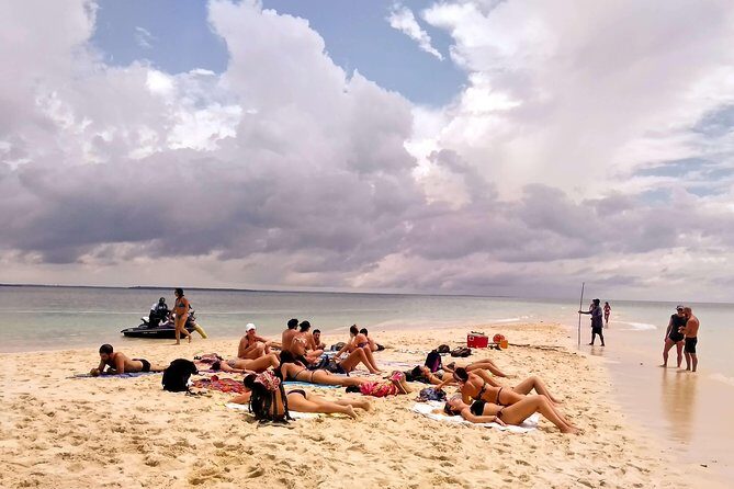 Sandbank Picnic and Dhow Sailing with Seafood Lunch - An In-Depth Look at the Itinerary and What to Expect