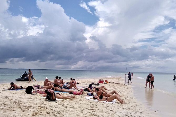 Sandbank Picnic and Dhow Sailing with Seafood Lunch - Practical Details and Tips