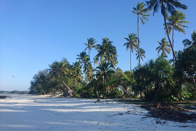 Sandbank Picnic and Dhow Sailing with Seafood Lunch - The Sum Up