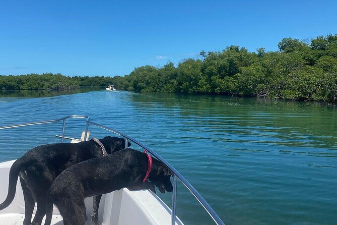 sandbar-snorkel-in-the-backcountry-of-key-west