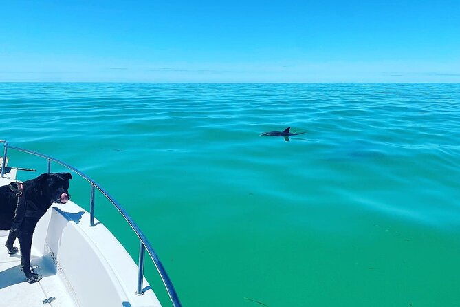 sandbar-snorkel-in-the-backcountry-of-key-west