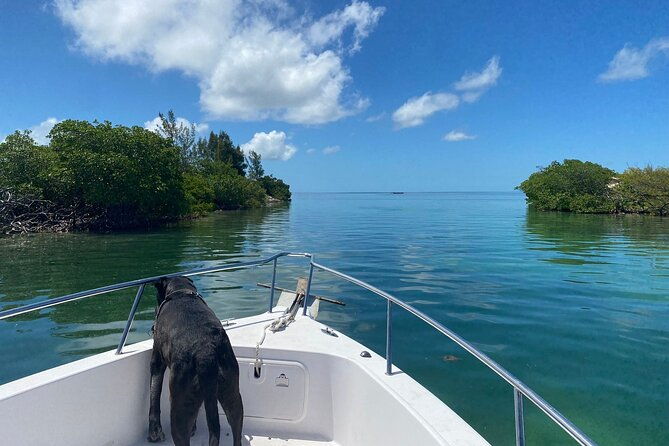 sandbar-snorkel-in-the-backcountry-of-key-west