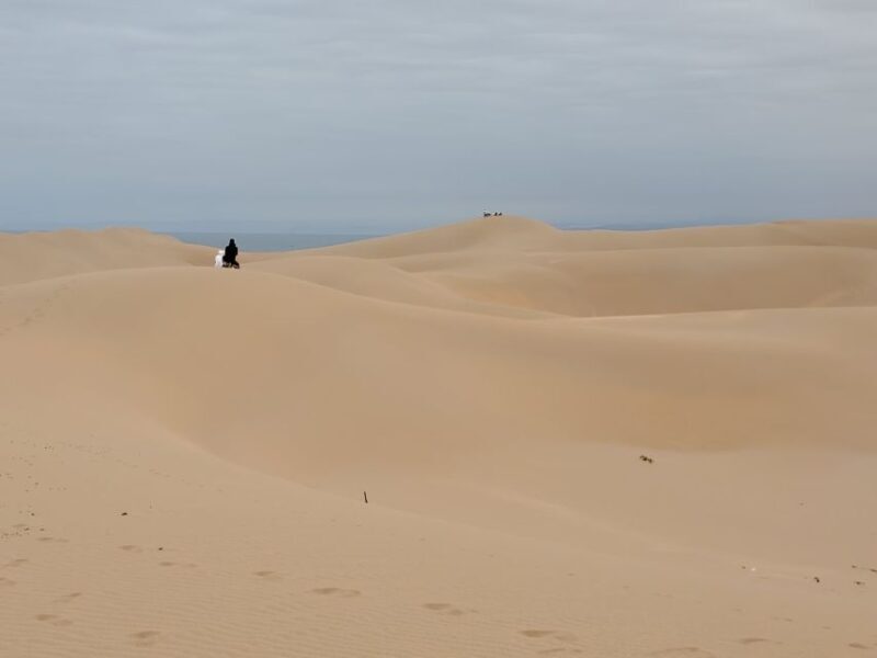 Sandboard, quad bike, camel ride & BBQ dinner in Timlaline - Who This Tour Is Perfect For