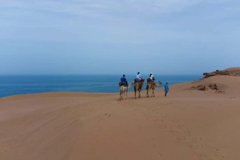 Sandboard, quad bike, camel ride & BBQ dinner in Timlaline - Final Thoughts
