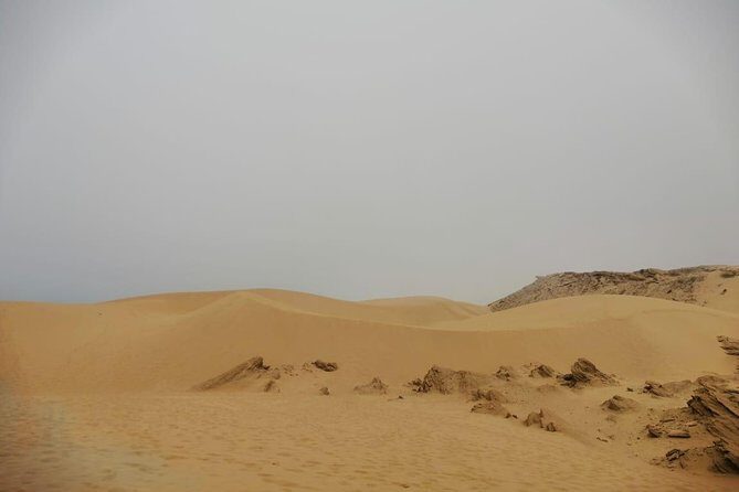 Sandboarding guided experience from Agadir - What to Expect from Your Sandboarding Adventure