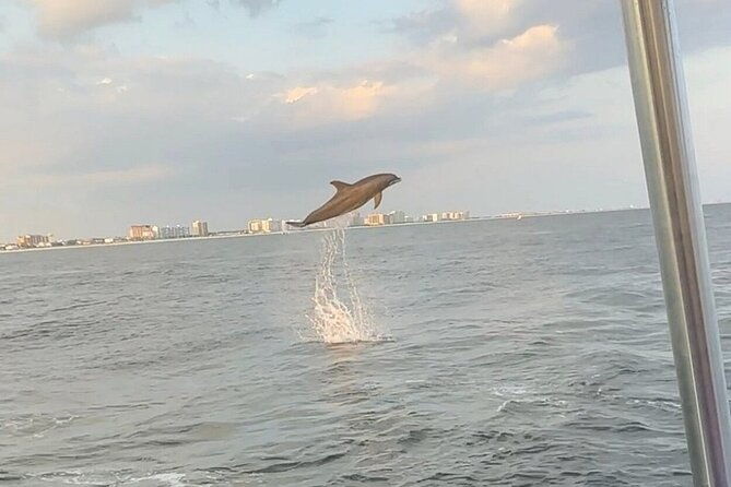 sandestin-sunset-eco-dolphin-cruise