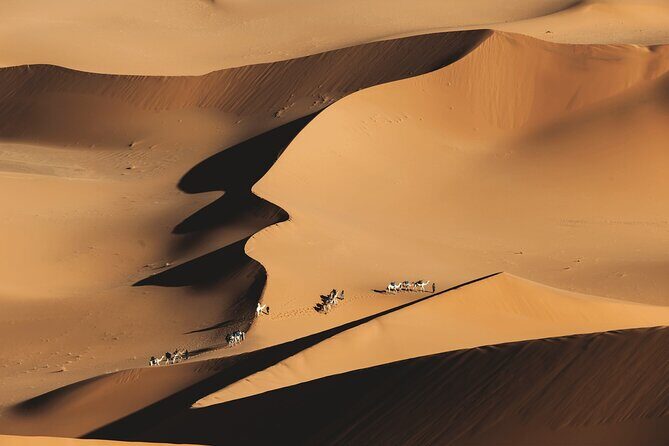 Sanding Ball in Merzouga: Experience the sand dunes on a zorbing activity - The Sum Up