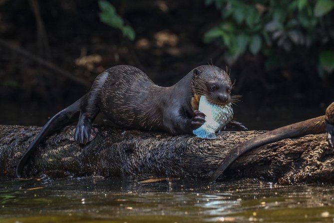 sandoval-lake-and-tambopata-national-reserve
