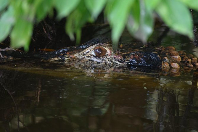 sandoval-lake-and-tambopata-national-reserve
