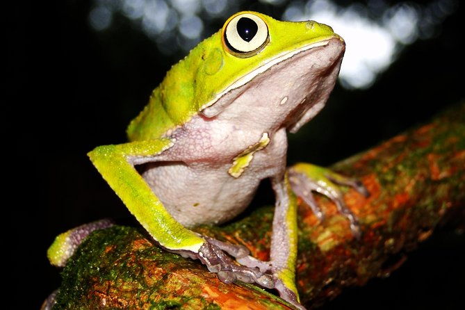 sandoval-lake-and-tambopata-national-reserve