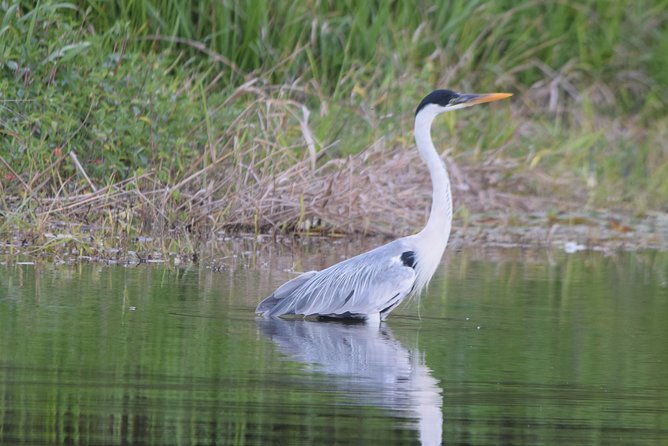 sandoval-lake-and-tambopata-national-reserve