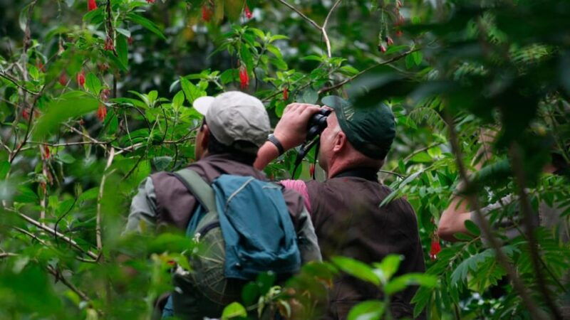 sandovals-secrets-2-days-in-the-tambopata-jungle