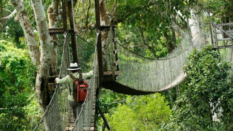 sandovals-secrets-2-days-in-the-tambopata-jungle