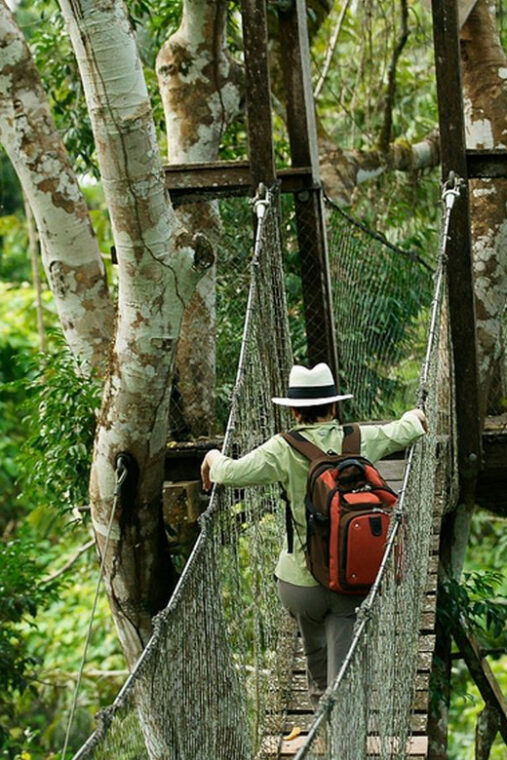 sandovals-secrets-2-days-in-the-tambopata-jungle