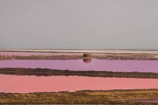 Sandwich Harbour 4x4 Private Guided Tour - Your very own private tour! - Key Points