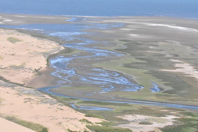 Sandwich Harbour Adventure: Seals and Sandwich harbour dune drive - FAQ