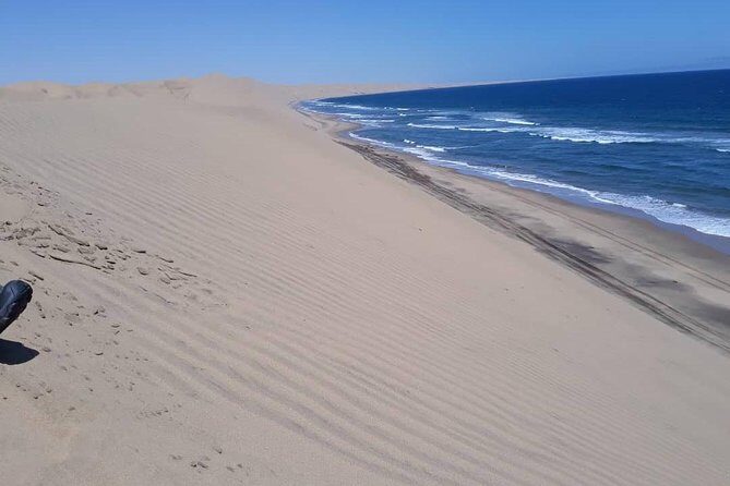 Sandwich harbour and Welwitschia Tour - Exploring Namibia’s Natural Landscape in a Day