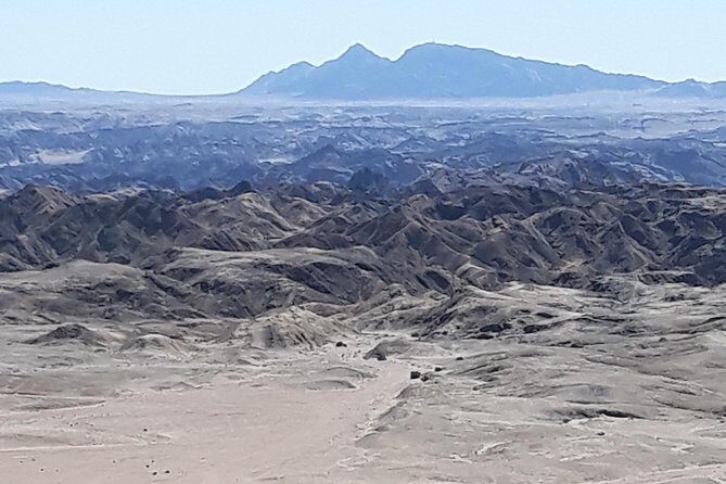 Sandwich harbour and Welwitschia Tour - Who Should Consider This Tour?