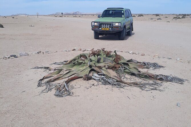 Sandwich harbour and Welwitschia Tour - Final Thoughts