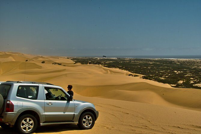 Sandwich Harbour Guided, Self-Drive Tour - Authentic Insights from Reviewers: What to Expect