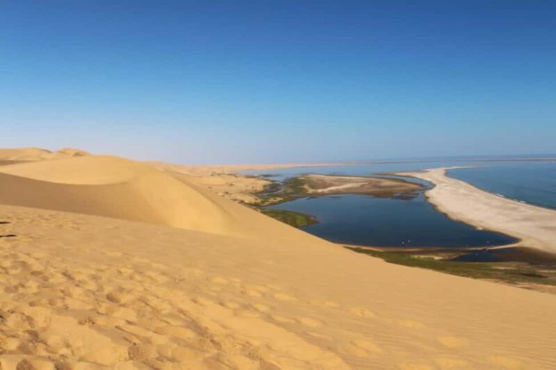 Sandwich Harbour: Namibias Ultimate Desert Meets Ocean Tour - Key Points