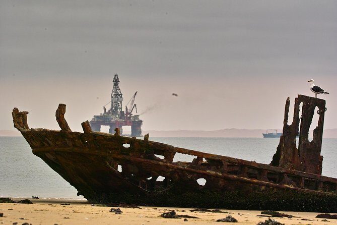 Sandwich Harbour & Pelican Point Full Day Tour - Who Would Love This Tour?