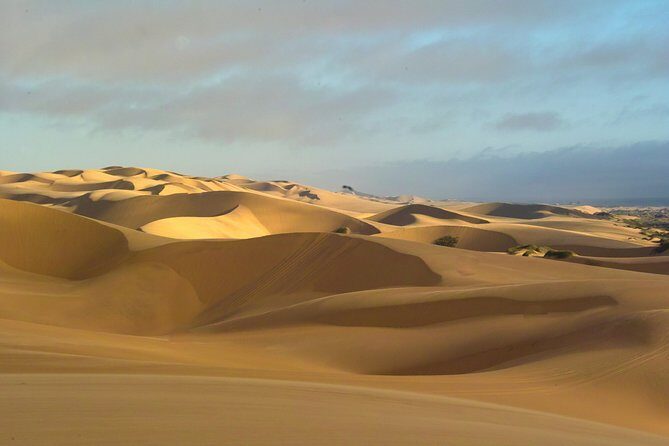 Sandwich Harbour Sunset Photography Tour - The Landscape: Dunes, Salt Lakes, and Birdlife