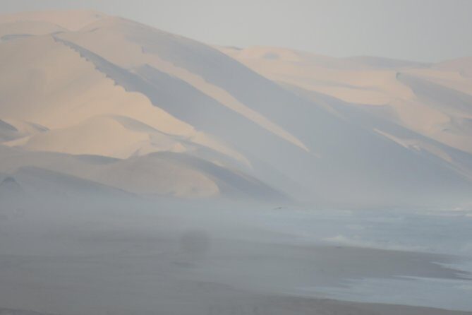 Sandwich Harbour Tour - Pelgrim Tours - The Scenic Highlights
