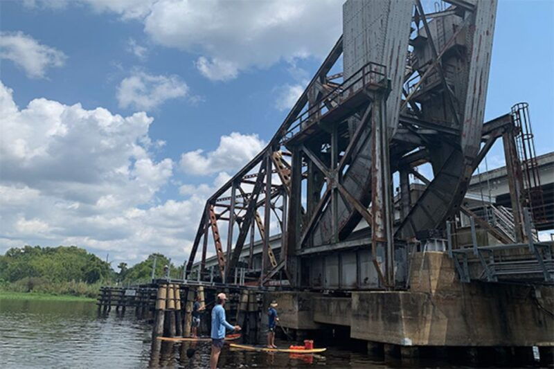 sanford-guided-sup-or-kayak-manatee-watching-tour