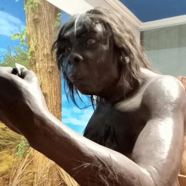 sangiran-museum-unesco-homeland-of-java-man