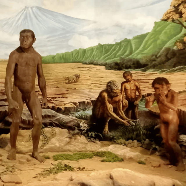 sangiran-museum-unesco-homeland-of-java-man