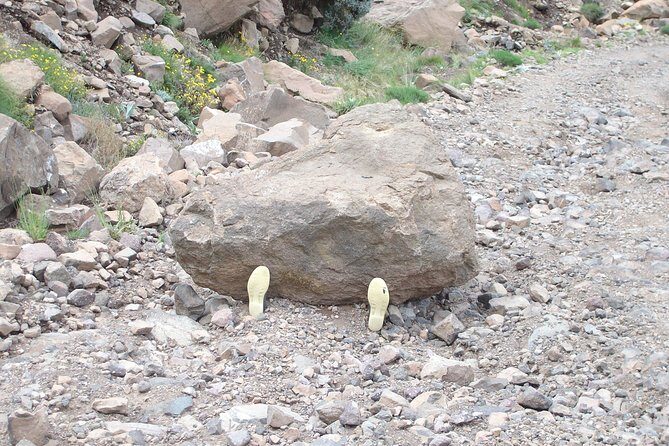 Sani Pass and Lesotho Day Tour from Underberg - Who Is This Tour Best For?