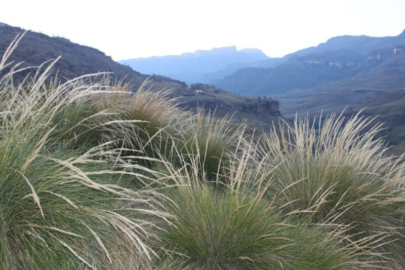 Sani Pass: Day Tour from Durban - Key Points